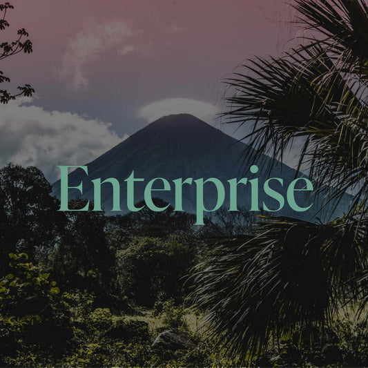 Enterprise - For Above 50 employees