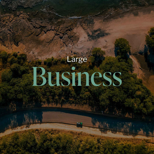 Large - From 26 to 50 employees