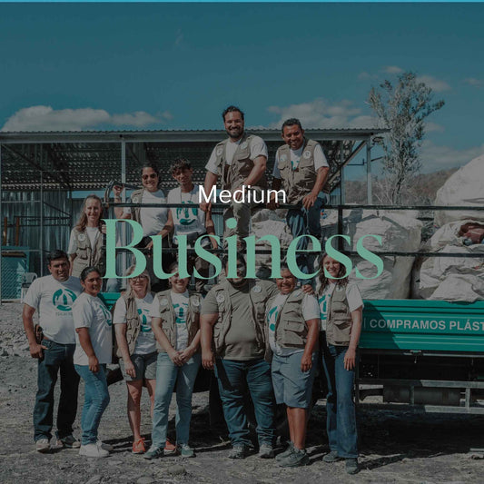 Medium - From 16 to 25 employees